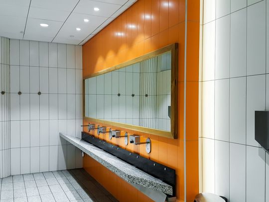 Sposób na mobilną toaletę na imprezę plenerową - łazienka kontenerowa