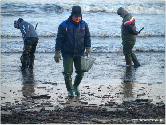 Spotkania z historią i przyrodą Wyspy Sobieszewskiej