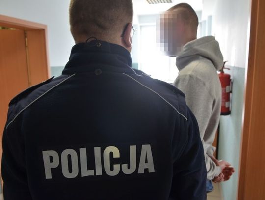 Sprawca znieważenia pomnika "Inki" zatrzymany