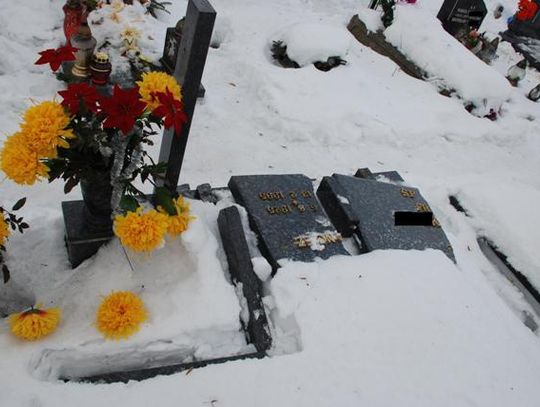 Sprofanowali groby na cmentarzu