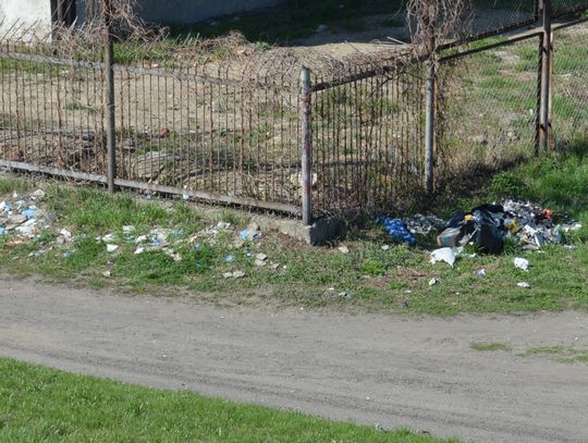 Sprzątają po brudasach! Śmieci beztrosko wyrzucane na os. Staszica