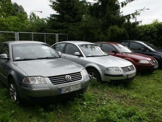 Sprzedawał volkswageny kradzione w Elblągu