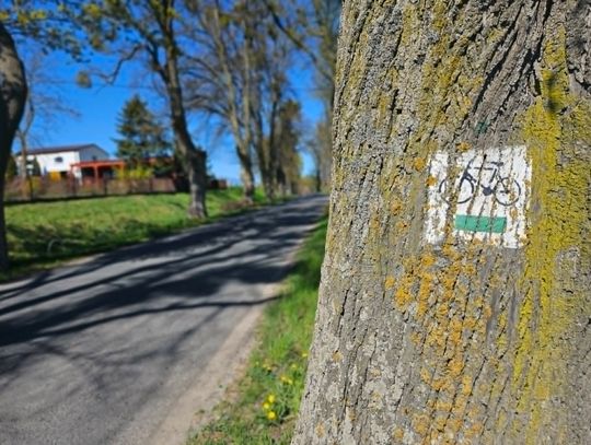 Startuje Rowerowa Stolica Polski 2026