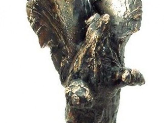 Statuetki "Gryfa Gospodarczego" wręczone