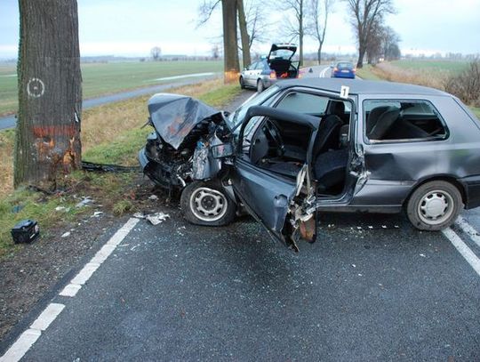 Stracił panowanie i zatrzymał się na drzewie