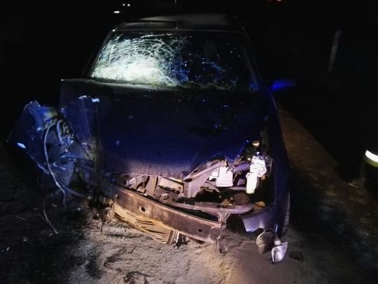 Straciła panowanie nad samochodem  i uderzyła w drzewo