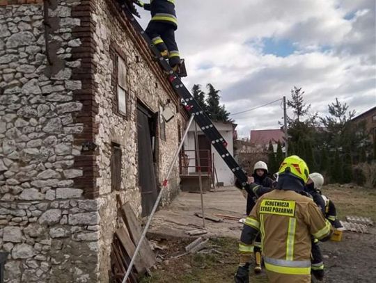 Straszna wichura przeszła przez Polskę. Ponad 40 000 interwencji w Polsce