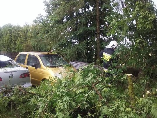 Strażacy interweniowali aż 58 razy. Nawałnica przeszła nad Zblewem i Skarszewami 