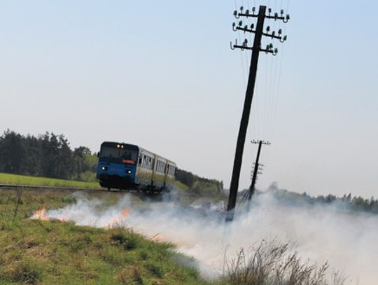 Strażacy obawiają się długiego weekendu. Uważajmy, jest bardzo sucho