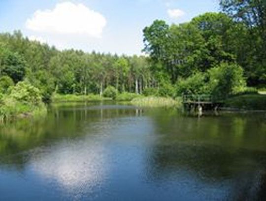 Strażnicy pilnują, by rolnicy nie zatruwali rzeki