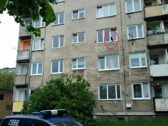 Strażnicy zaskoczeni nietypową sytuacją