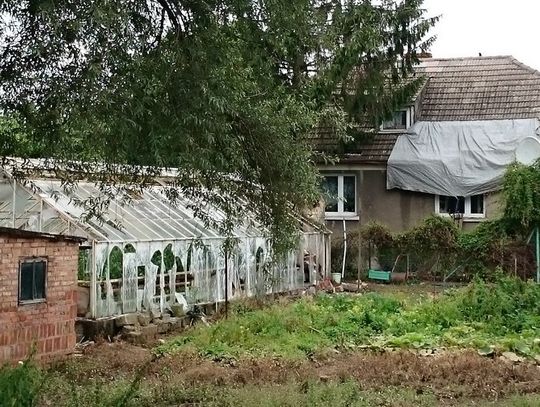 Strażników oślepił potężny błysk. W stojącej w ogródku szklarni wypadły szyby.