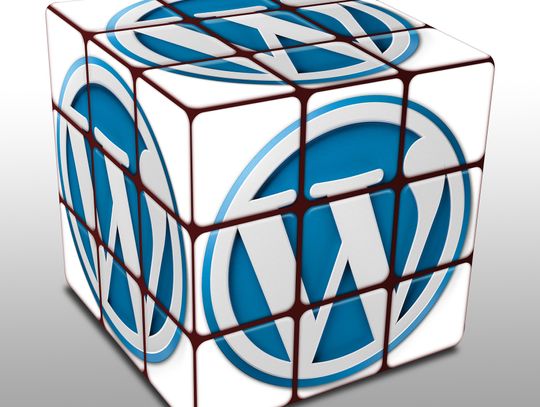 Strona internetowa w oparciu o WordPress- zalety i wady