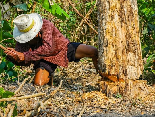 Stwórz stylizację miejskiego drwala