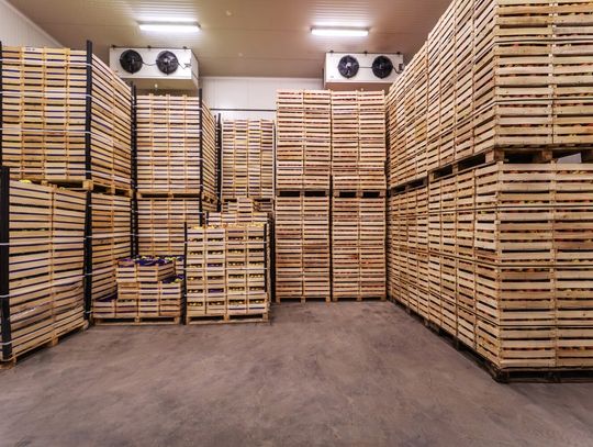 Suszarnie przemysłowe do drewna – dlaczego warto zainwestować?