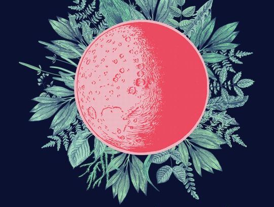 Świętojańskie Świętowanie: Jan Młynarski i Gaba Kulka w Centrum św. Jana