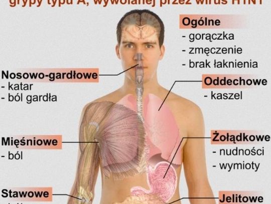 „Świńska grypa” atakuje?! Wirusy grypy zbierają żniwo na Pomorzu