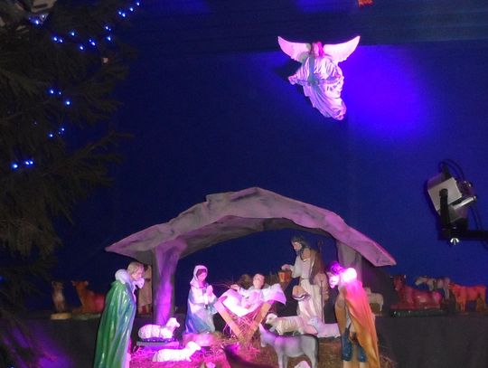 Szopka bożonarodzeniowa w kościele św. Wojciecha