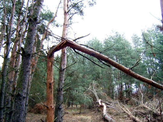 Sztorm na Bałtyku, załoga dryfującego jachtu uratowana
