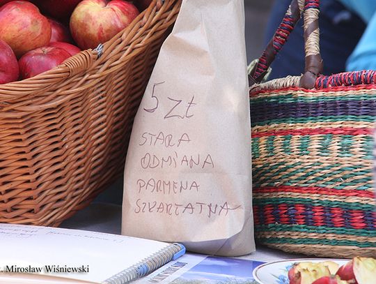 Szukają przedwojennych drzew owocowych