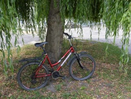 Szukają właściciela roweru