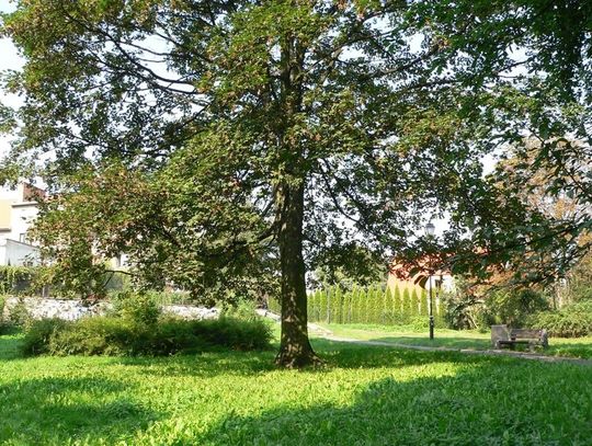 Tajemnice zwłok pomorskich więzień