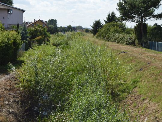 Tak wygląda Kanał Młyński. Zamiast wody, krzaki, fotele, opony...
