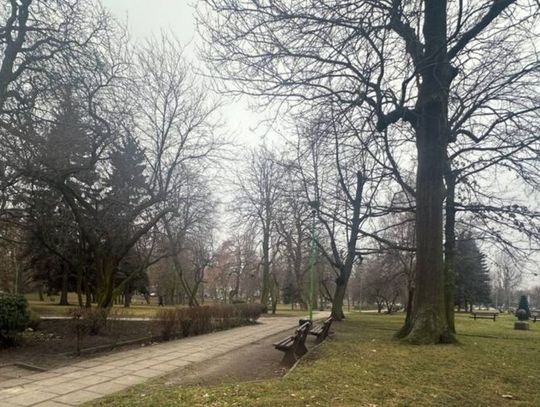 Tczew na drodze do rewitalizacji Parku Kopernika. Miasto przejmuje teren po cmentarzu