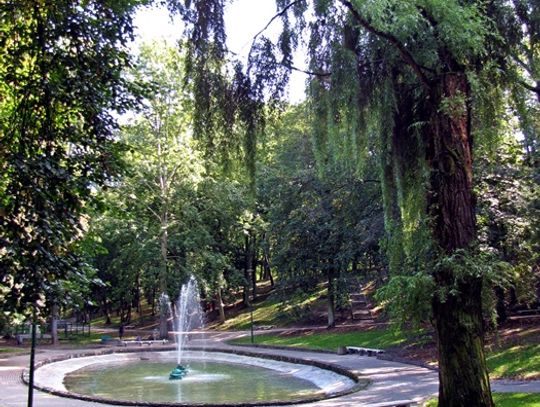 Tczewianie chcą placu zabaw, gastronomii i bezpieczeństwa