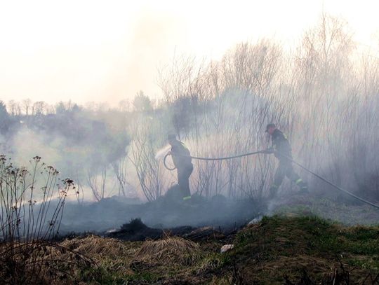 Te pożary niosą śmierć