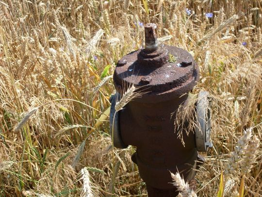 Te zdjęcia pokazują duży problem. Hydranty w bardzo złym stanie