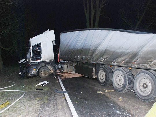 TIR ściął grubą lipę i zablokował drogę na 7 godzin