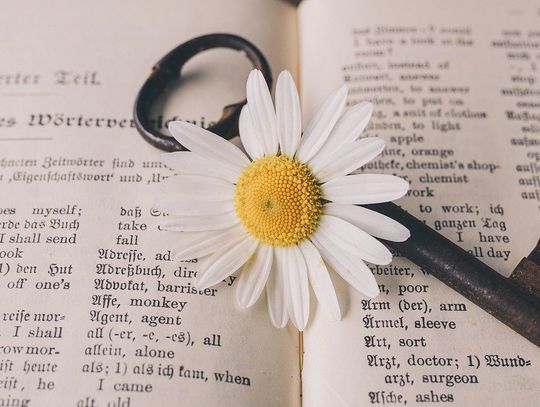 Tłumaczenie dla firmy - to musisz wiedzieć!