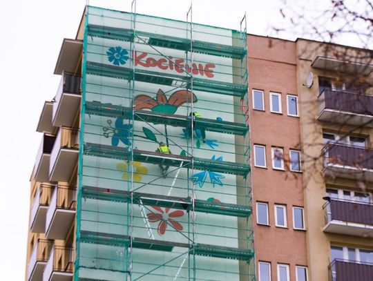 To już jutro! Przed nami Światowy Dzień Kociewia!