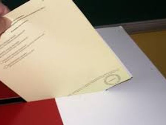 To powinieneś wiedzieć o niedzielnym głosowaniu! 