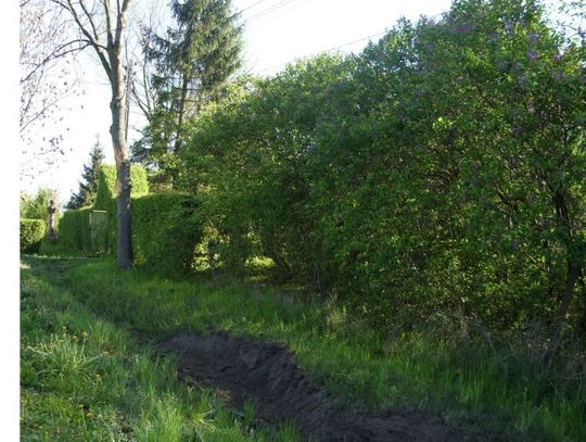 Tragedia w Laskach - dwie ofiary śmiertelne na drodze