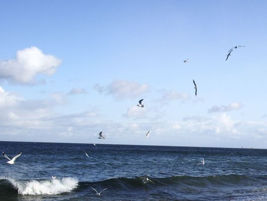 Tragiczne wakacje. Dwaj bracia utonęli w morzu -  niedaleko Jantara