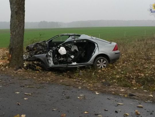 Tragiczny wypadek po zderzeniu z drzewem