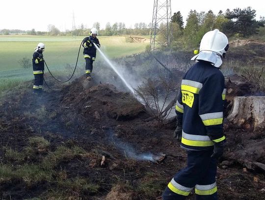 Trwa susza. Strażacy walczą z pożarami nieużytków