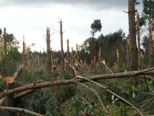 Trzy lata po nawałnicy. Nadal trwa walka z jej skutkami 