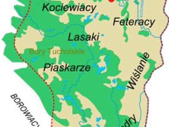 Trzy tysiące deklaracji kociewskich w NSP 2011