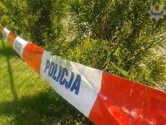 Tuje z parku "powędrowały" na prywatną posesję 