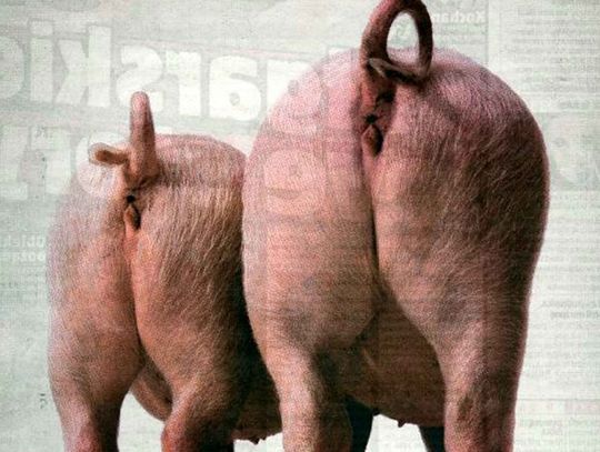 TWÓJ WYBÓR. Na kogo warto głosować?