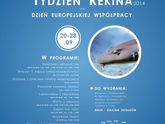 Tydzień Rekina w gdyńskim Akwarium