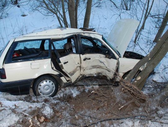 Tygodniowy kierowca. Passatem w drzewo