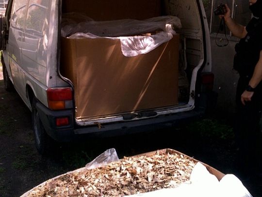 Tytoń w rękach CBŚ - szajka za kratkami