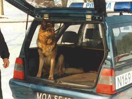 Uczennica wszczęła alarm bombowy w szkołach