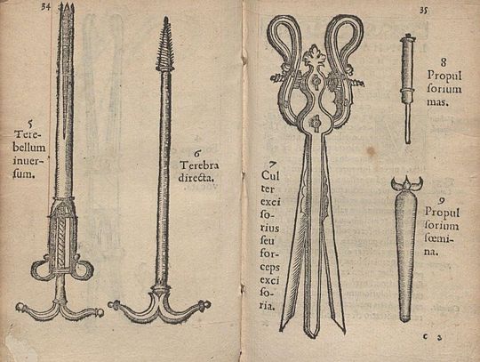 Uczniowie Hipokratesa nad Motławą