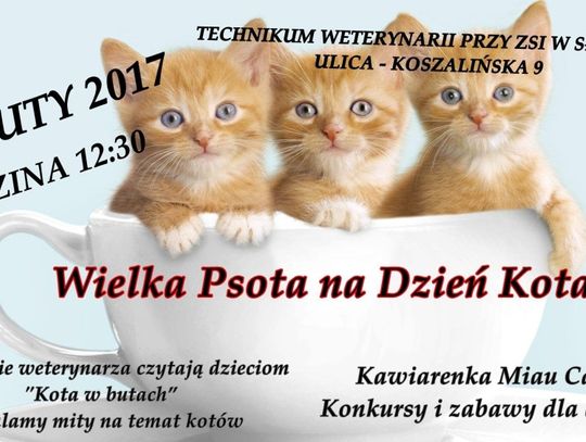 Uczniowie weterynarza organizują akcję „Wielka Psota na Dzień Kota”