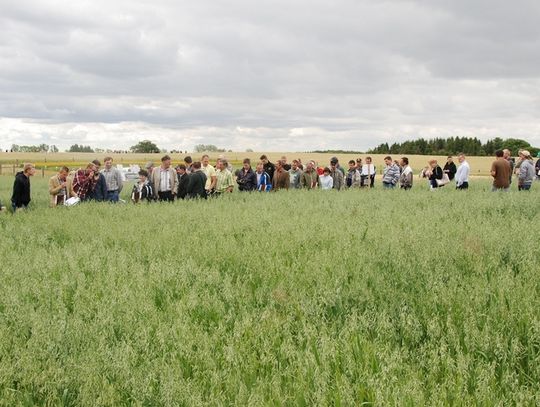 Udany &quot;Dzień pola&quot; w Lubaniu